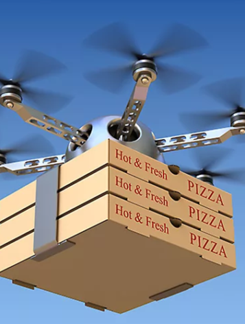 Anomaly Detection Drone